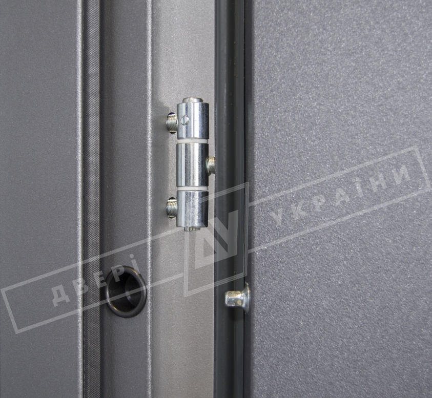 Двері вхідні для приватних будинків серії "GRAND HOUSE 56 mm" / модель ПРОВАНС 6 / колір: Графіт металік муар