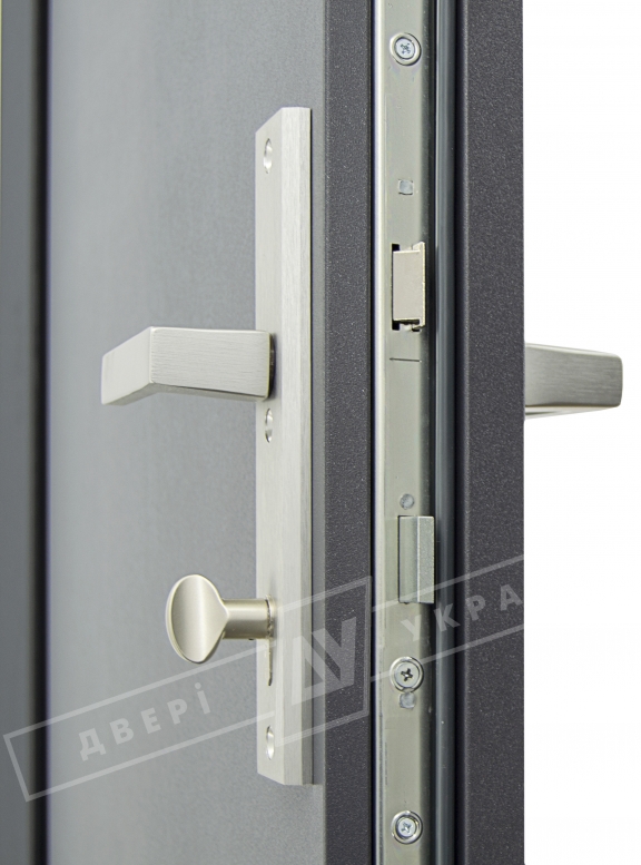 Двері вхідні для приватних будинків серії "GRAND HOUSE 73 mm" / Модель №8 / колір: Графіт металік / Захисна ручка на планці