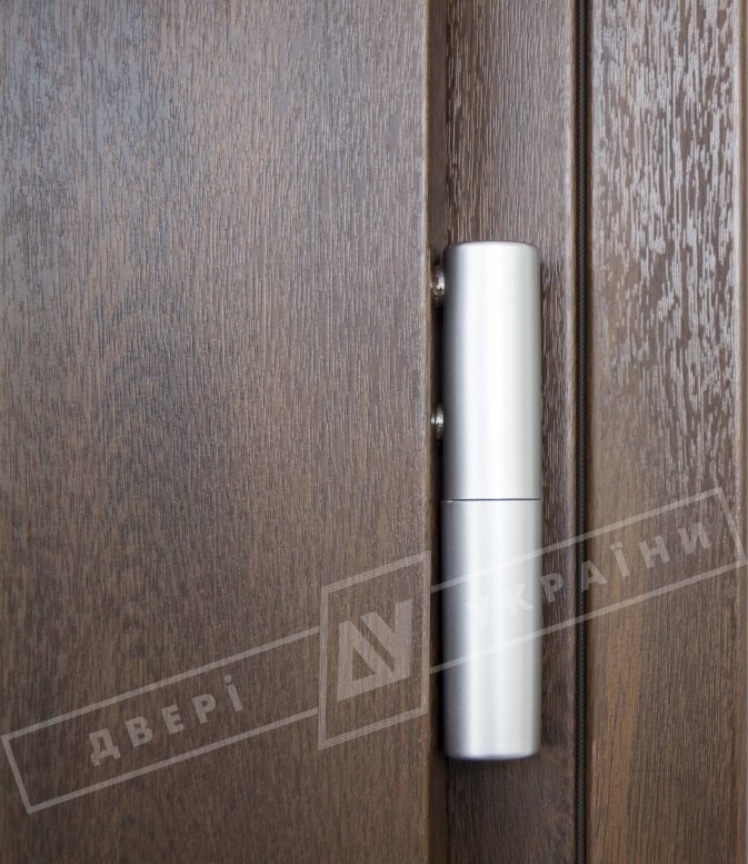 Двери входные уличные серии "GRAND HOUSE 73 mm" / Модель №1 / цвет: Тёмный орех / Защитная ручка на планке
