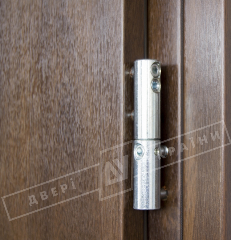 Двері вхідні для приватних будинків серії "GRAND HOUSE 73 mm" / Модель №4 / колір: Темний горіх / Захисна ручка на планці