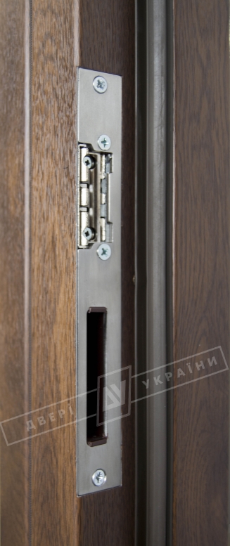 Двері вхідні для приватних будинків серії "GRAND HOUSE 73 mm" / Модель №2 / колір: Темний горіх / Захисна ручка на планці