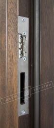 Двері вхідні для приватних будинків серії "GRAND HOUSE 73 mm" / Модель №9 / колір: Темний горіх / Захисна ручка на планці
