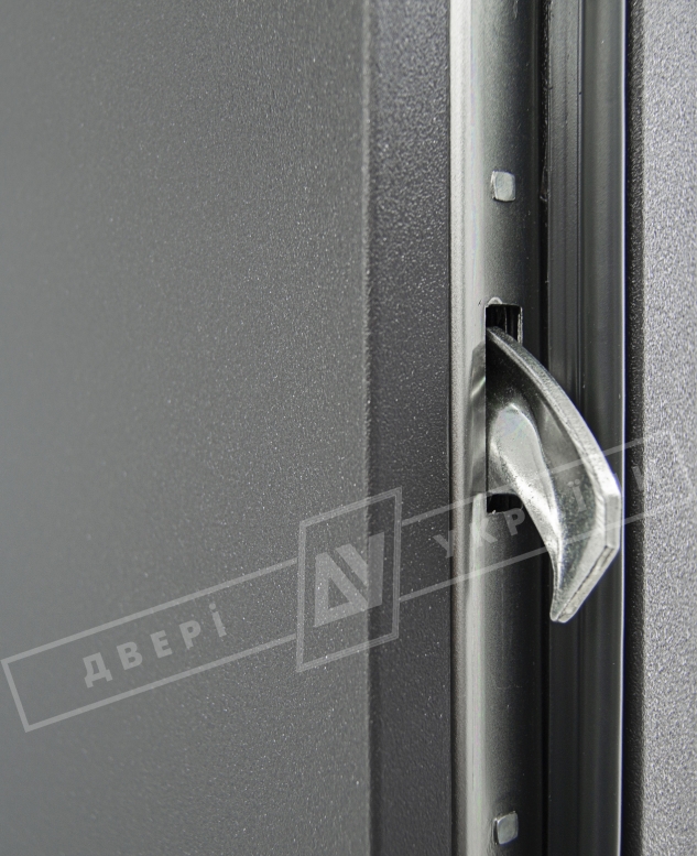 Двери входные уличные серии "GRAND HOUSE 73 mm" / Модель №10 / цвет: Графит металлик / Защитная ручка на планке