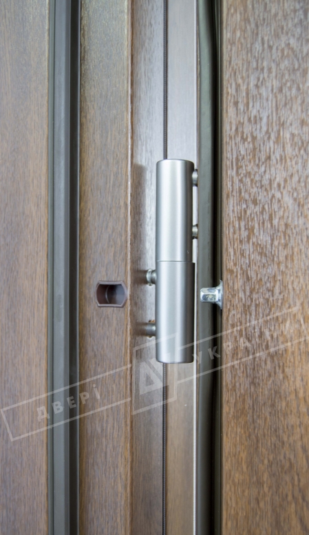 Двері вхідні для приватних будинків серії "GRAND HOUSE 73 mm" / Модель №2 / колір: Темний горіх / Захисна ручка на планці
