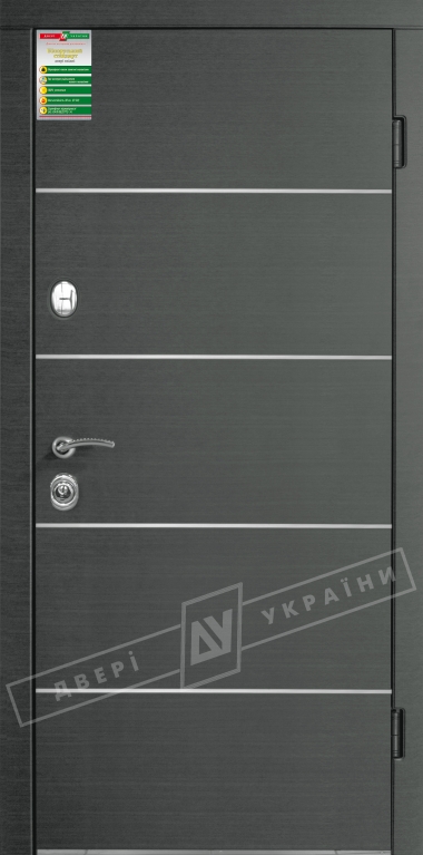Двери входные серии БС / Комплектация №1 [RICCARDI] / ТУРИН Декор / Венге серый горизонт 288