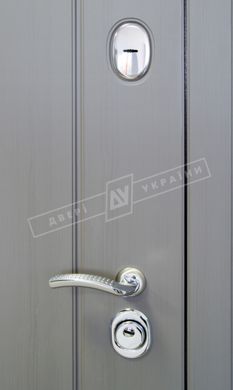 Двери входные серии БС / Комплектация №1 [RICCARDI] / СТЕЛЛА / Реалвуд графит 77527 MCN