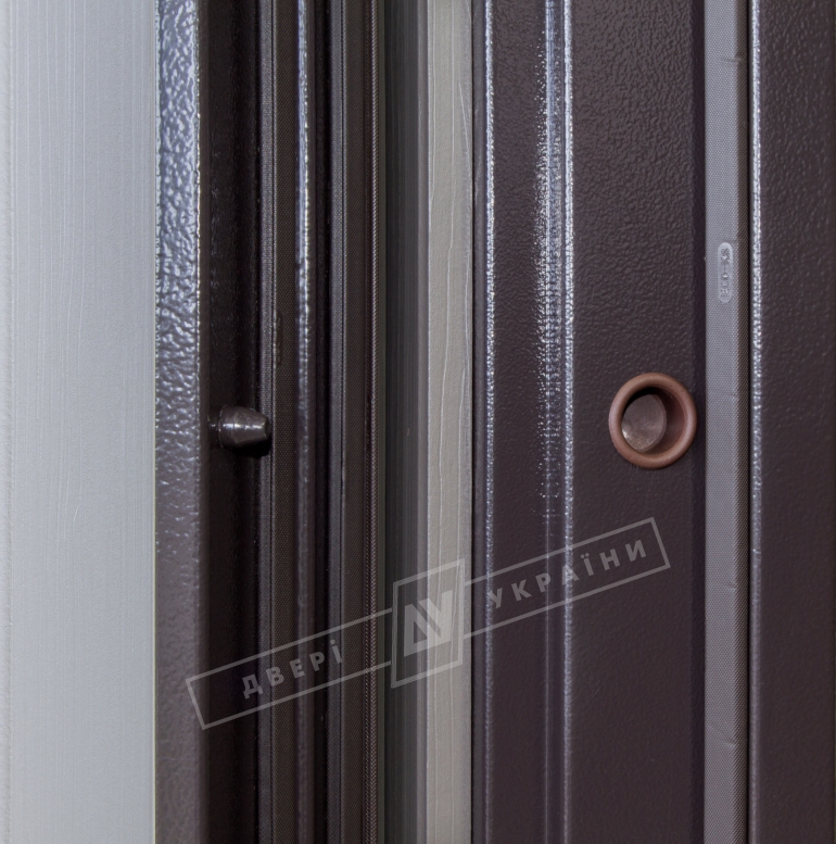 Двери входные серии БС / Комплектация №1 [RICCARDI] / СТЕЛЛА / Реалвуд графит 77527 MCN