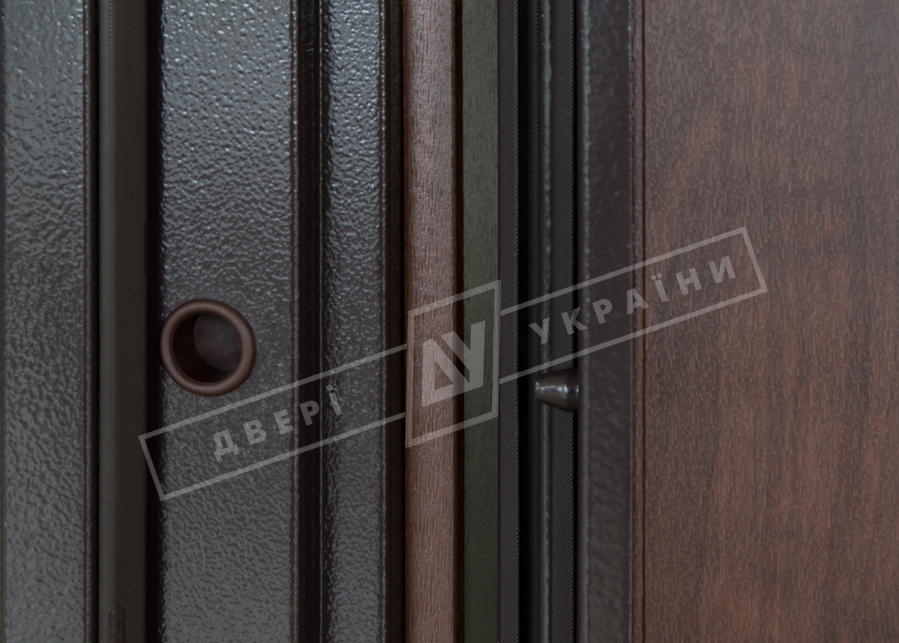 Двері вхідні серії "БС 3" / Комплектація №2 [KALE] / Модель: КЕЙС / Горіх темний