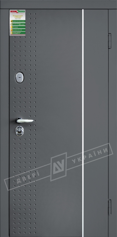 Двері вхідні серії БС / ЛЕОН 1 / Антрацит ANT01-105C