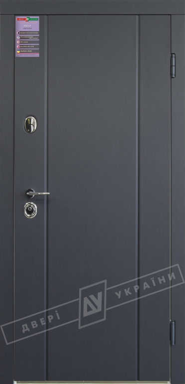Двері вхідні серії ІНТЕР / Комплектація №1 [KALE] / СТЕЛЛА / Антрацит ANT01-105C