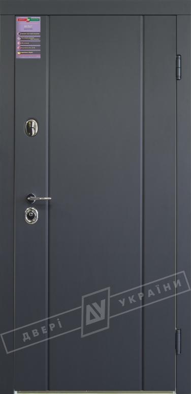 Двери входные серии ИНТЕР / Комплектация №1 [KALE] / СТЕЛЛА / Антрацит ANT01-105C