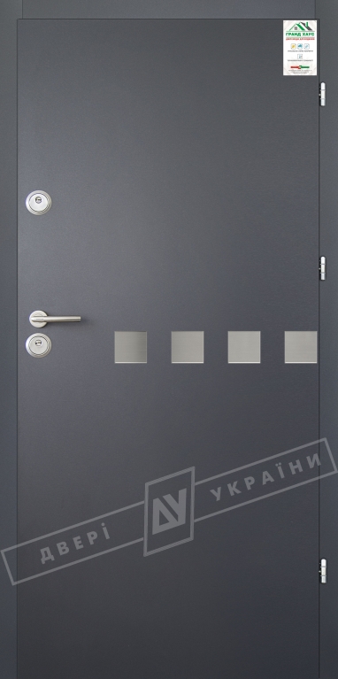 Двері вхідні для приватних будинків серії "GRAND HOUSE 56 mm" / Модель №10 / колір: Графіт металік муар