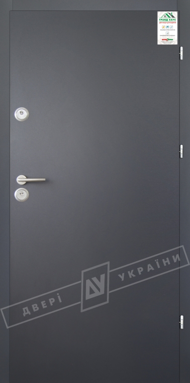 Двері вхідні для приватних будинків серії "GRAND HOUSE 56 mm" / модель ФЛЕШ / колір: Графіт металік муар