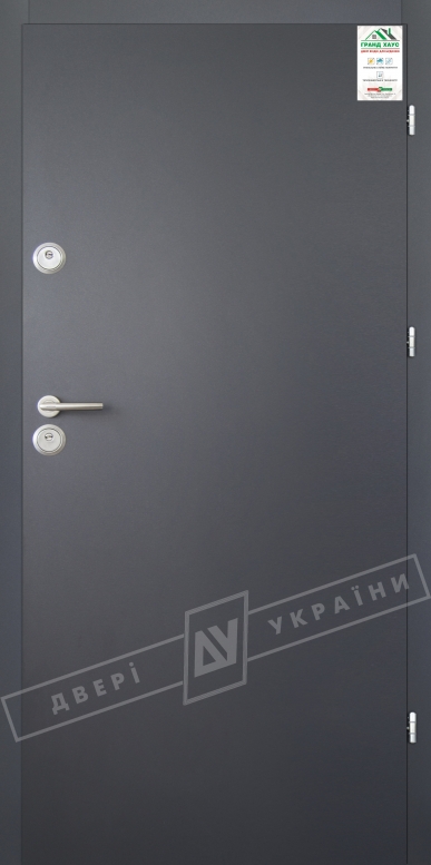 Двері вхідні для приватних будинків серії "GRAND HOUSE 56 mm" / модель ФЛЕШ / колір: Графіт металік муар