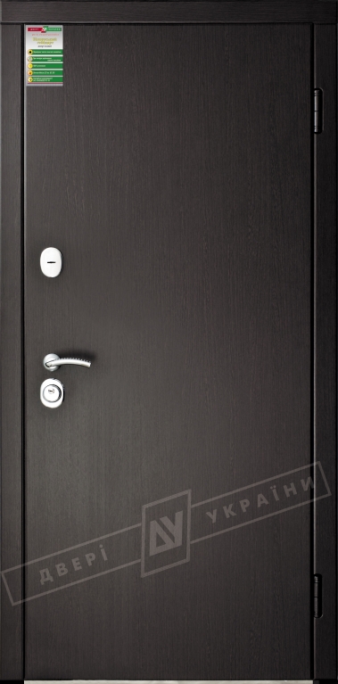 Двері вхідні серії БС / Комплектація №1 [RICCARDI] / ФЛЕШ / Венге південне МВР 1998-10