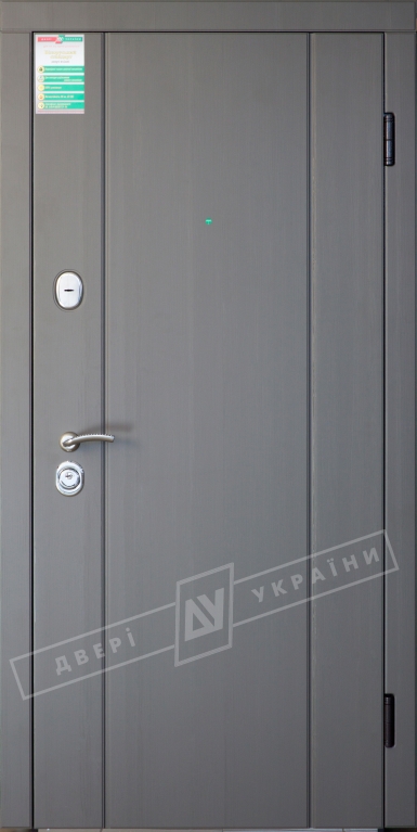 Двері вхідні серії БС / Комплектація №1 [RICCARDI] / СТЕЛЛА / Реалвуд графіт 77527 MCN