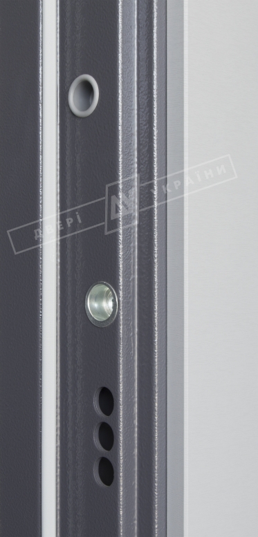 Двері вхідні серії ІНТЕР / Комплектація №1 [KALE] / ЛЕОН 2 / Антрацит DE-18AP-005 / Світло сіра DE-17AP-026-0,25