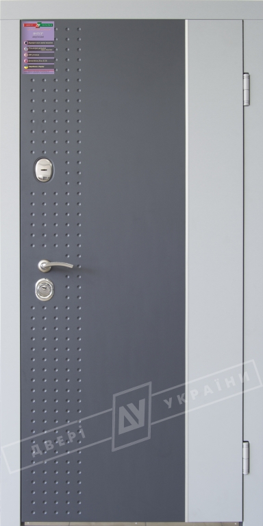 Двері вхідні серії ІНТЕР / Комплектація №1 [KALE] / ЛЕОН 2 / Антрацит DE-18AP-005 / Світло сіра DE-17AP-026-0,25