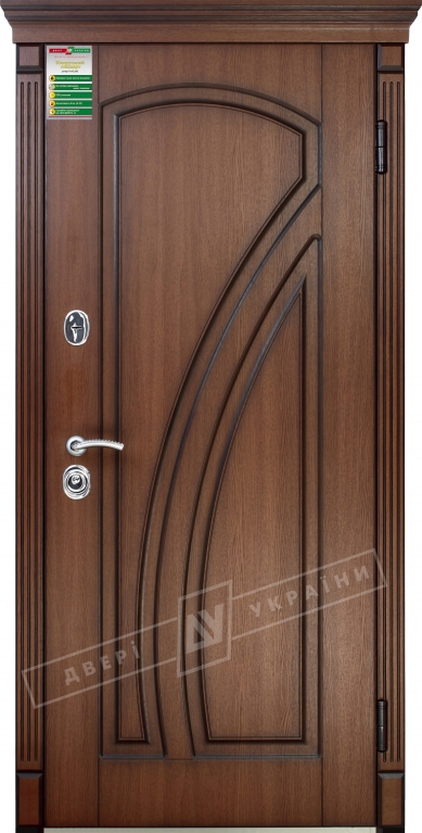Двері вхідні серії БС / Комплектація №1 [RICCARDI] / КЛІО / Горіх гварнері + ПАТИНА