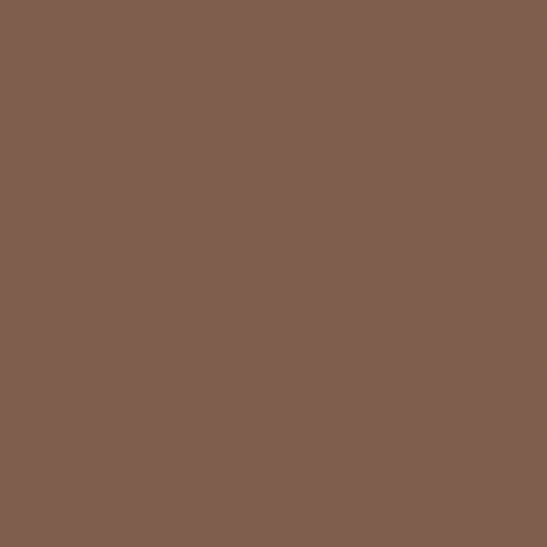 RAL 8024 Бежево-коричневый Beige brown