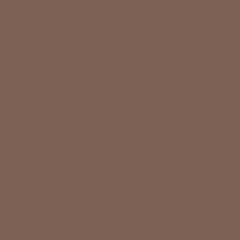 RAL 8025 Бледно-коричневый Pale brown